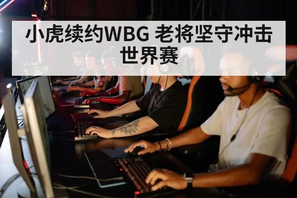 小虎续约WBG 老将坚守冲击世界赛
