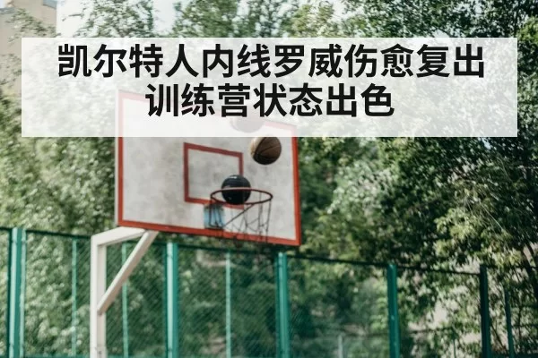 凯尔特人内线罗威伤愈复出 训练营状态出色