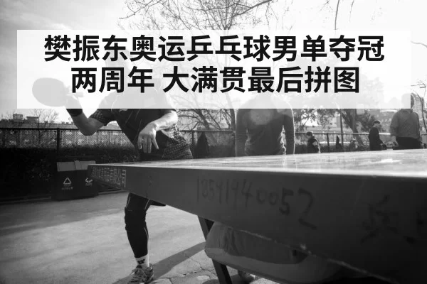 樊振东奥运乒乓球男单夺冠两周年 大满贯最后拼图